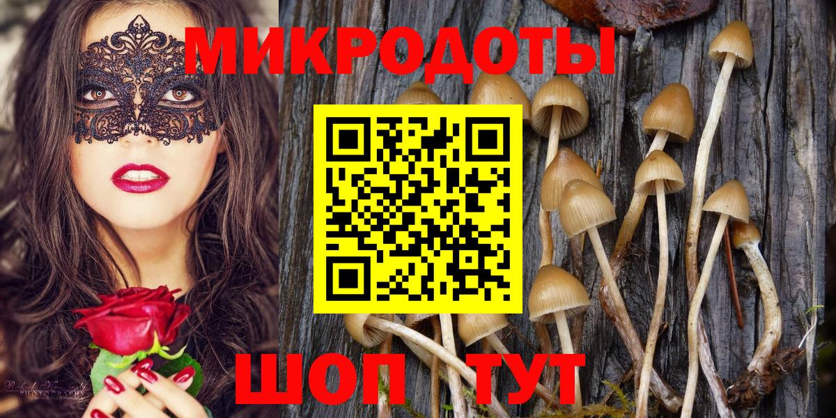Мыски  Псилоцибиновые грибы Cubensis  Вход с VPN 