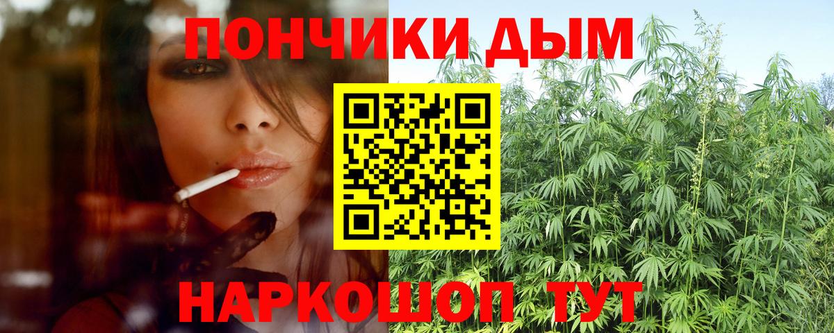 Шишки марихуана тримм  Вход с VPN  Бошки Шишки марихуана  Мыски 